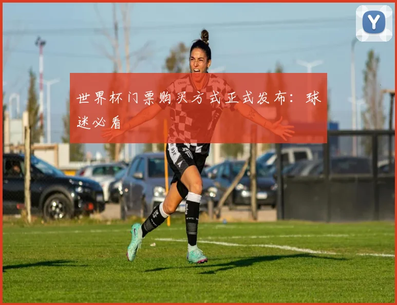 世界杯门票购买方式正式发布:球迷必看