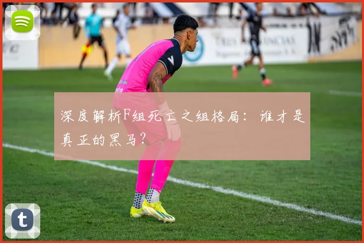 深度解析F组死亡之组格局：谁才是真正的黑马？